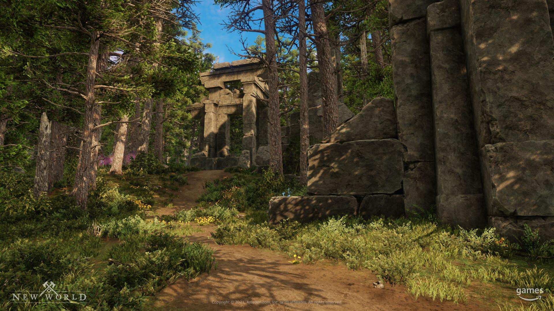 New World Guide