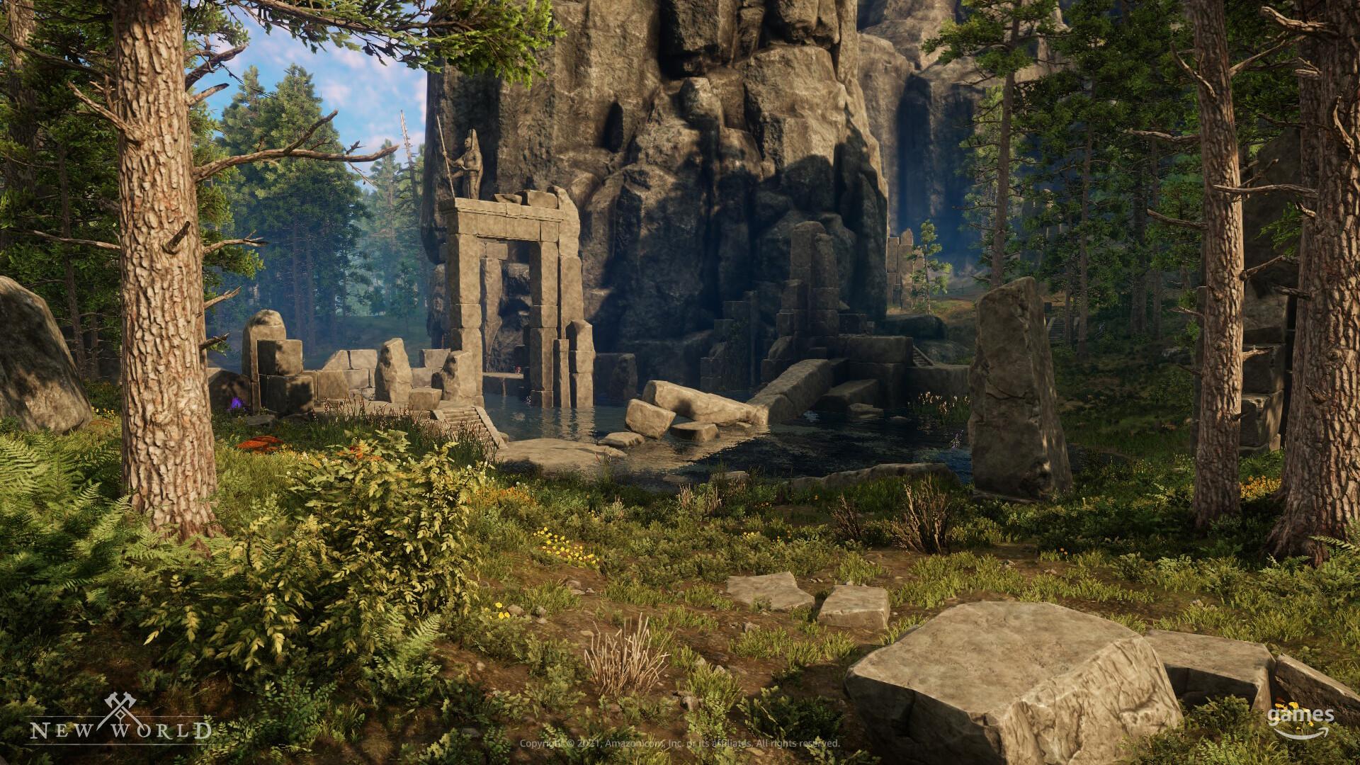 New World Guide
